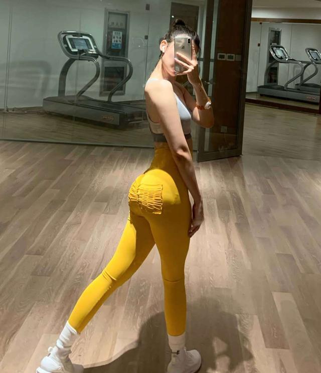 半岛·综合下载手机版