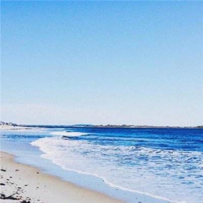 半岛·综合下载手机版