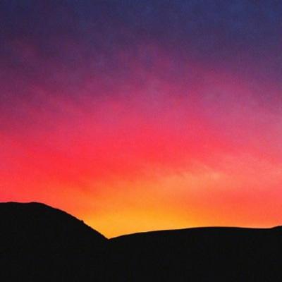 半岛·综合下载手机版截图